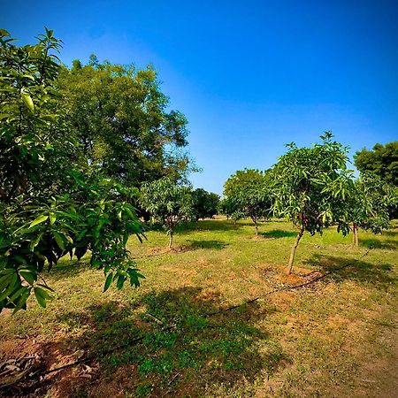 Mangohut Farmhouse Pool Villa Hyderabad Bagian luar foto