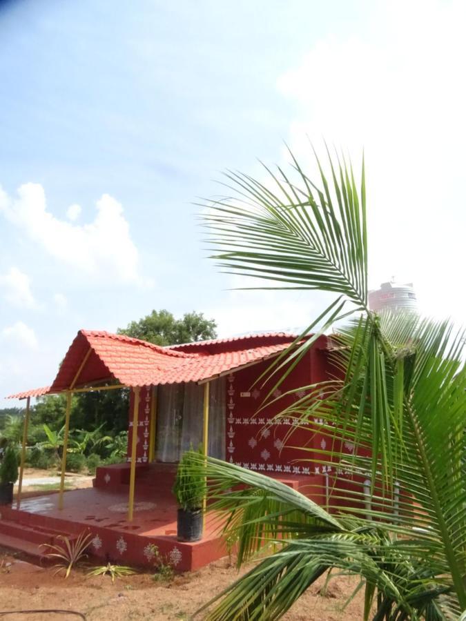 Mangohut Farmhouse Pool Villa Hyderabad Bagian luar foto