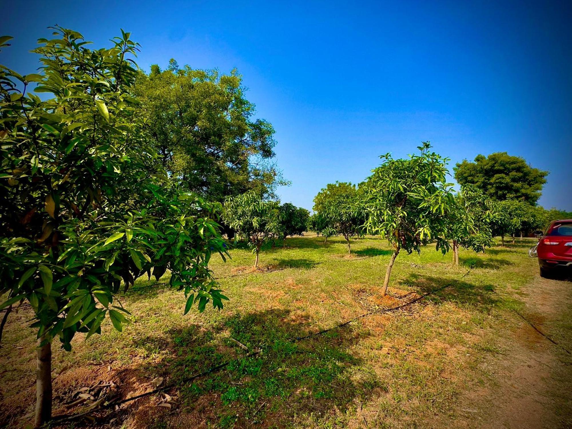 Mangohut Farmhouse Pool Villa Hyderabad Bagian luar foto