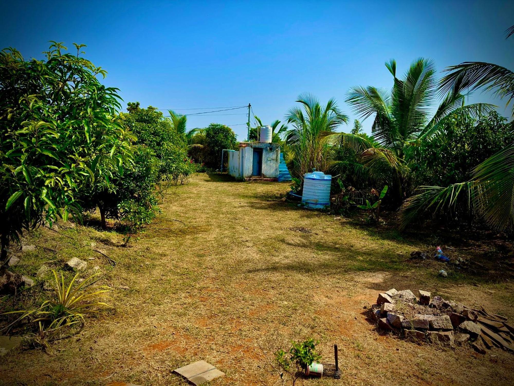 Mangohut Farmhouse Pool Villa Hyderabad Bagian luar foto