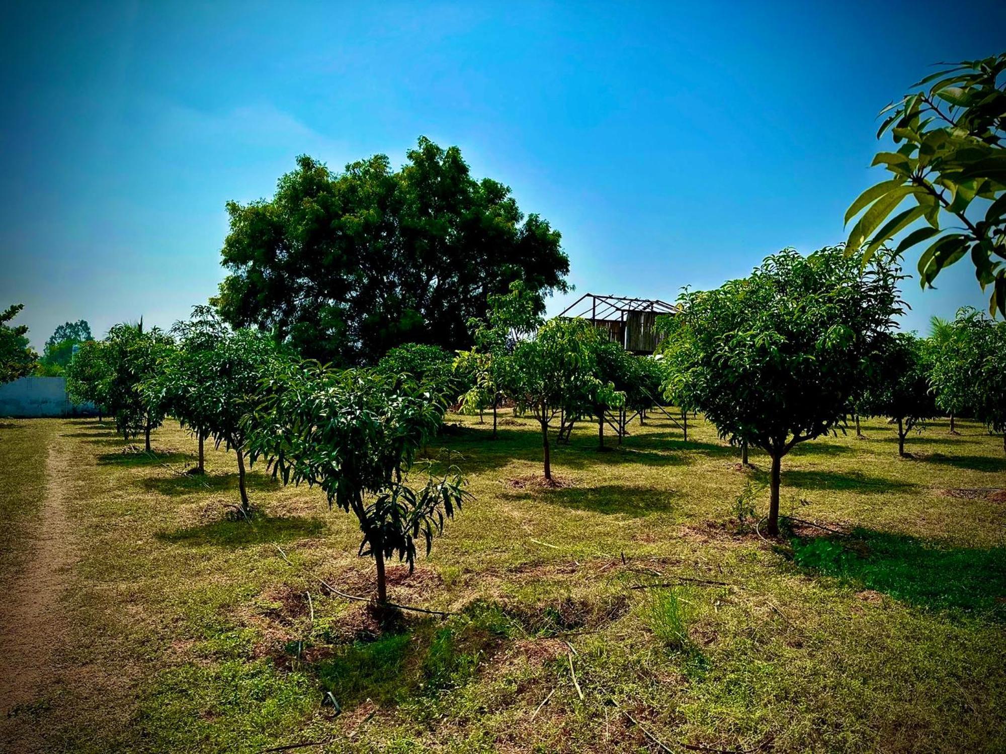Mangohut Farmhouse Pool Villa Hyderabad Bagian luar foto